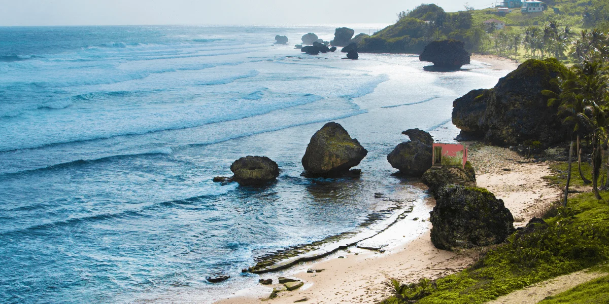 Barbados 3-min.webp
